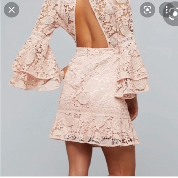 Bebe Lace open back dress in misty rose - Picture 2 of 5